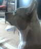 cristi13s